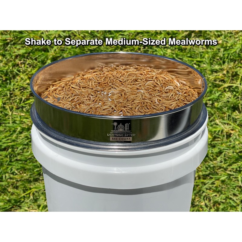 MFS' D-11 Lightning Sifter Medium Mealworm Sifting Pan (2nd Gen)