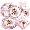 80PCS Horse Party Napkins and Plates Cups Horse Little Poney