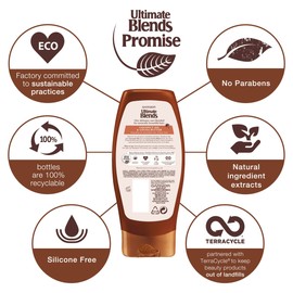 Garnier Ultimate Blends The Sleek Restorer Conditioner