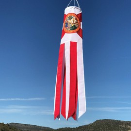 In the Breeze 5133 Florida State Flag 40-Inch Windsock-Colorful Outdoor Décor