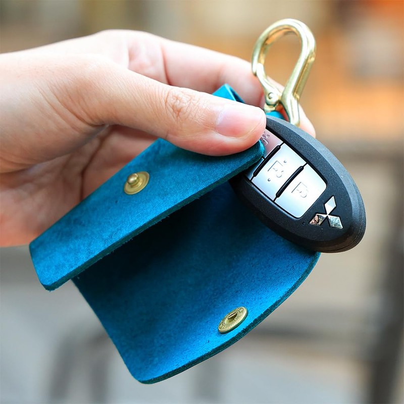 Agility affa Clevis Key Case, Smart Key, Carabiner, Sliding Type,