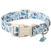 ARING PET Dinosaur Dog Collar-Cute Dog Collar for Small Dogs,