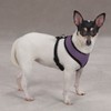 Casual Canine Mesh Dog Harness, Small, Purple