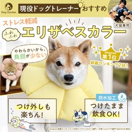 DogGarden Elizabethan Collar for Cats and Dogs, Springy, Soft, Lightweight, Waterproof, Prevents Licking Scratches After Surgery (Yellow, M)