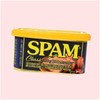 CJ제일제당 스팸클래식200 4507205 CJ CheilJedang Spam Classic 200 4507205