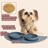 Should We Go? The Perfect Dish - Durable Dog Water