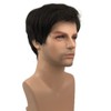 Aimole Mens Wigs Short Black Straight Hair Synthetic Full Wig(2