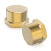 GASHER 1/2"NPT Brass Pipe Cap, NPT Female Thread Socket Pipe