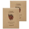 Skinfood Carrot Carotene Calming Water Pad 10g, 5 sheets, 2 pieces / 스킨푸드 캐롯 카로틴 카밍 워터패드 10g, 5매입, 2개