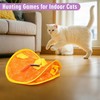 IOKHEIRA Cat Toy, Electric Cat Ball Toy, Interactive Cat Toy,