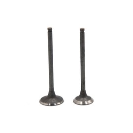 sourcing map 2Pcs Metal Motorcycle Motorbike Engine Motor Exhaust Intake Valve for CG-125