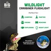 Sun Company Wildlight Animal Caribina Flashlight | Mini Animal Keychain