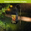Briarwood Lane American Cardinal Solar Lantern