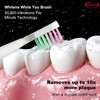 EBANKJ New Ultra White Electric Sonic Toothbrush, 5 Modes, 3