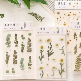 Zerodeko 5 Pegatinas Decorativas para Cuadernos Diy, Calcomanías para Álbumes y Agendas, Diseño Floral y Plantas, Material Adhesivo, Adecuado para Manualidades Creativas Estilo Aleatorio
