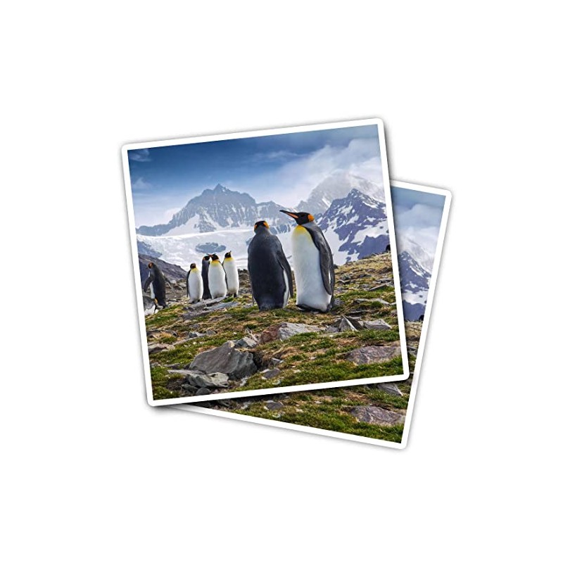 Vinyl Square Stickers (Set of 2) 10cm - South Georgia