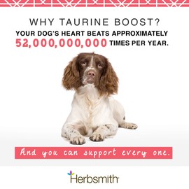 Herbsmith Taurine Boost - Cardiac and Heart Support for Dogs and Cats - Taurine Supplement for Dog and Cat Heart Health – with CoQ10, Taurine and L-Carnitine for Dogs - 150g