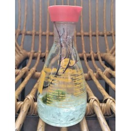 Marimo Moss Ball Soy Sauce Terrarium