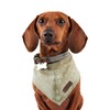 Reddy BFF Dog Bandana X-Small/Small Green