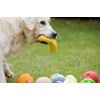 Petface Latex Orange Soft Chew Dog Toy, Large