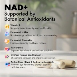 Nad Fermentado Resveratrol Quercetina Cápsulas