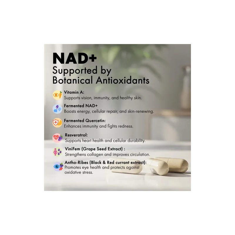 Nad Fermentado Resveratrol Quercetina Cápsulas