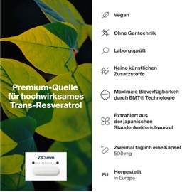 Artgerecht RESVERATROL – Hochdosiertes Trans-Resveratrol 500 mg | Mit BMT® Mikroverkapselung | Vegan & ohne Zusatzstoffe