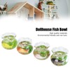 4pcs 1:12 Scale Miniature Glass Goldfish Bowl DIY Fish Bowl
