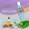 Shampoo Nefertiti Cola De Caballo Hidrataciónfortificante