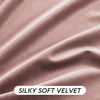 RYB HOME Dusty Pink Velvet Curtains 102 inches with Hook