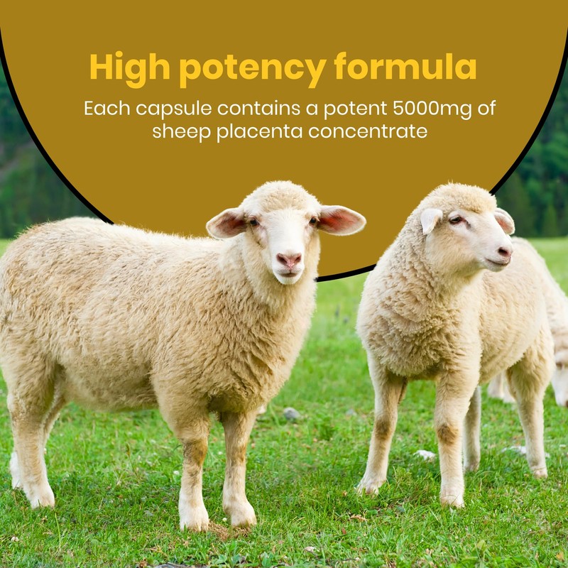 Healthy Care Sheep Placenta Capsules - Premium Dietary Supplement for