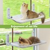 Zoratoo 2PC Cat Window Perch Cordless Foldable Cat Hammock Bed