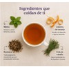 Plamesi Diges Digestivo Infusion Herbal Natural Cafeina Cajas Sobres Menta