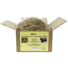 Birds LOVE Wholesome & Lovely Spray Millet Non-GMO for Birds Cockatiel Lovebird Parakeet Finch Canary All Parrots Healthy Treat - 2LBS