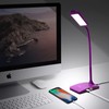 TW Lighting IVY-40BK The IVY LED Desk Lamp with USB