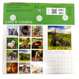 Dayspring 2026 LITTLE & LOVABLE 12” X 24” 16 Month Wall Calendar NEW SEALED