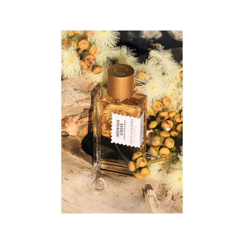 (Goldfield & Banks) Ingenious Ginger 10ml / (골드필드 앤 뱅크스)