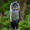 Woodside Large Realistic Owl Decoy With Rotating Head Bird/Pigeon/Crow Scarer