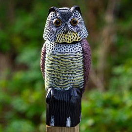 Woodside Large Realistic Owl Decoy With Rotating Head Bird/Pigeon/Crow Scarer