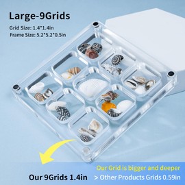 MUXIUNT Multi-Style Clear Acrylic Magnetic Seashell Display Collecting Box, Acrylic Shadow Box for Tiny Treasure Hunting, Holder Display Grid Cabinet Case