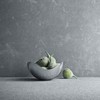 Georg Jensen Spiegelschale Mini 16 cm, Edelstahl, Stainless Steel, 16