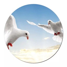 Fashion Jewelry WHITE DOVE BIRD PEACE SKY Pendant 925 Sterling Silver 20" Necklace Men Women SKY