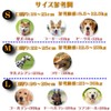 JP-SAKURA Dog Muzzle Small Medium Large Size Picking Prevention Chewing
