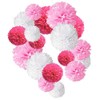 KOMBIUDA Paper Decor for Party Honeycomb Ball Paper Flower Set