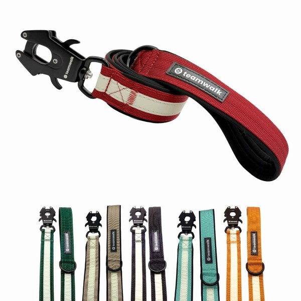 teamwalk® Premium Dog Lead with Light Strips, Soft Padding, Robust