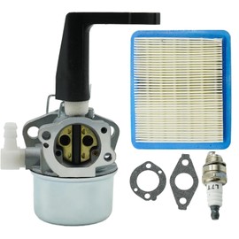 696065 Carburetor Kit for Briggs & Stratton 215369 697422 110402 110412 5HP 5.5HP 6HP 6.5HP 7HP Tiller Engine Carb with Mounting Gaskets Kit and 491588S Flat Air Filter Cartridge