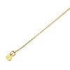 Sears Adjustable Chain, Slide Type, Necklace, 3.9 inches (10 cm),