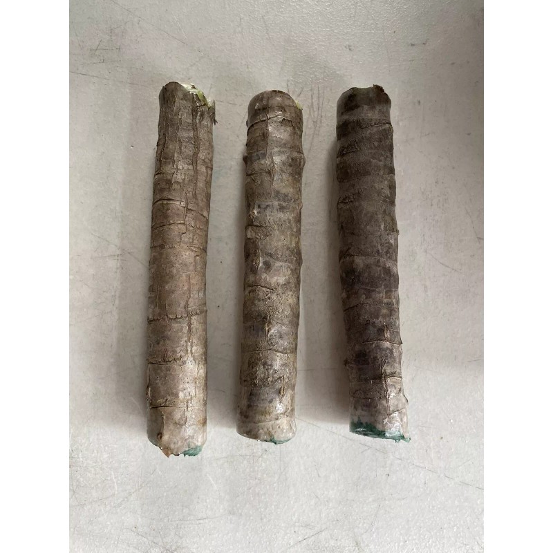 Hawaiian Green Ti Leaf Fresh Cuttings 6inch Starter Logs x6