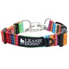 Leash Boss Martingale Collar for Dogs - Steel Chain |