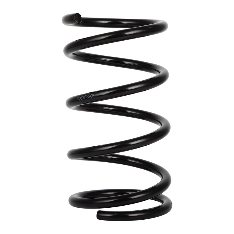 AUTOMUTO 2PCS Rear Suspension Coil Spring Set Compatible with 2007-2017